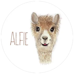 ALFIE